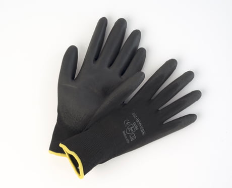 Black Palm Black Palm